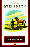 the red pony book report the red pony book report