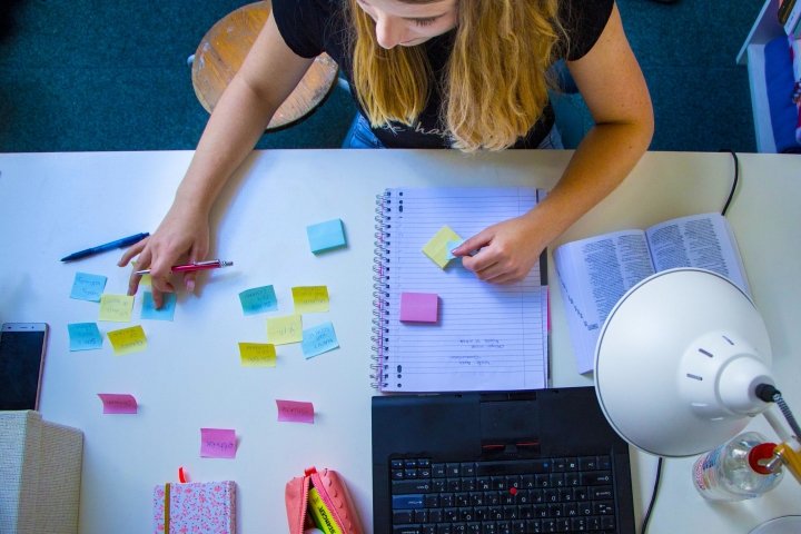 Boekverslag Nederlands Blauwe plekken door Anke de Vries | Scholieren.com