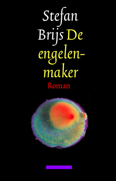 Boekcover De Engelenmaker