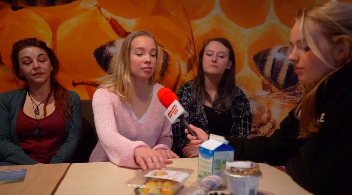 Red het frikandelbroodje! Red de bij!