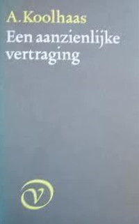 Cover van Een aanzienlijke vertraging