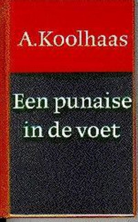 Boekcover Een punaise in de voet