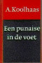 Boekcover Een punaise in de voet