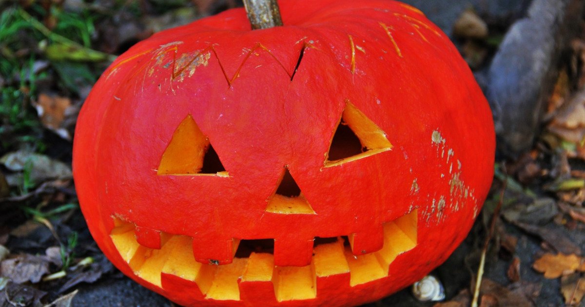 Vogelverschrikker Verkleed Als Een Vampier Met Een Pompoenhoofd Aquarel Clipart Voor De Halloween Vakantie Maar Een Geisoleerde Achtergrond 33266063