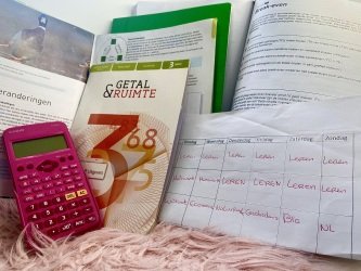 Waarom huiswerk en leren voor toetsen in de vakantie een no-go is