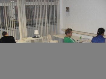 Antwoorden chatsessie met Marianne Thieme (PvdD)
