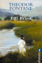 Boekcover Effi Briest