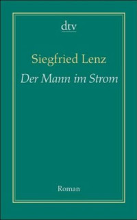 Boekcover Der Mann im Strom