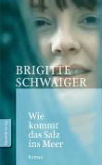 Boekcover Wie kommt das Salz ins Meer
