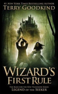 Boekcover Wizard's first rule
