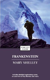 Boekcover Frankenstein or The modern Prometheus