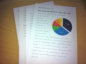 Een 6-stappenplan naar een werkstuk dat heel wat voorstelt