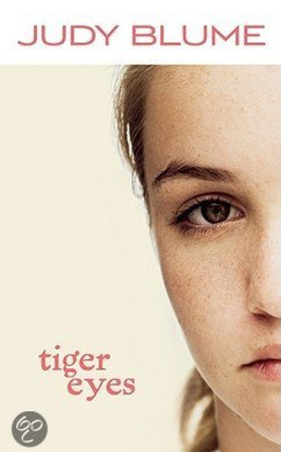 tiger eyes judy blume book summary