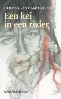 Een kei in een rivier door Herman van Campenhout