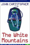 Boekcover The white mountains