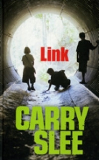 Cover van Link