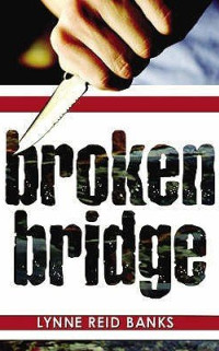 Boekcover Broken bridge
