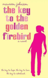 Boekcover The key to the golden Firebird