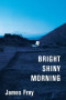 Boekcover Bright Shiny Morning