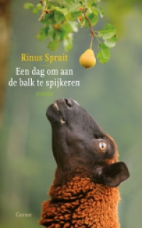 Boekcover Een dag om aan de balk te spijkeren