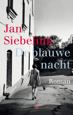 Boekcover De blauwe nacht
