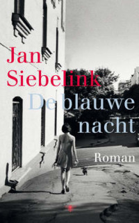 Boekcover De blauwe nacht