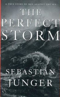 Cover van The perfect storm