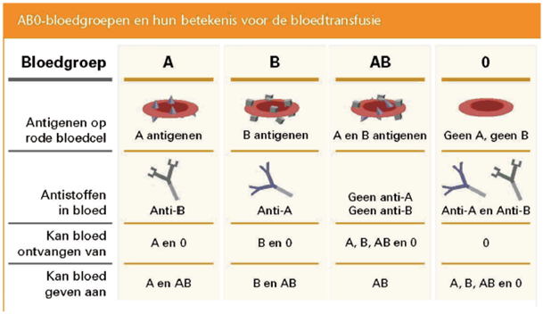 Samenvatting Biologie Nectar H11 En H12 (5e Klas Havo) | Scholieren.com