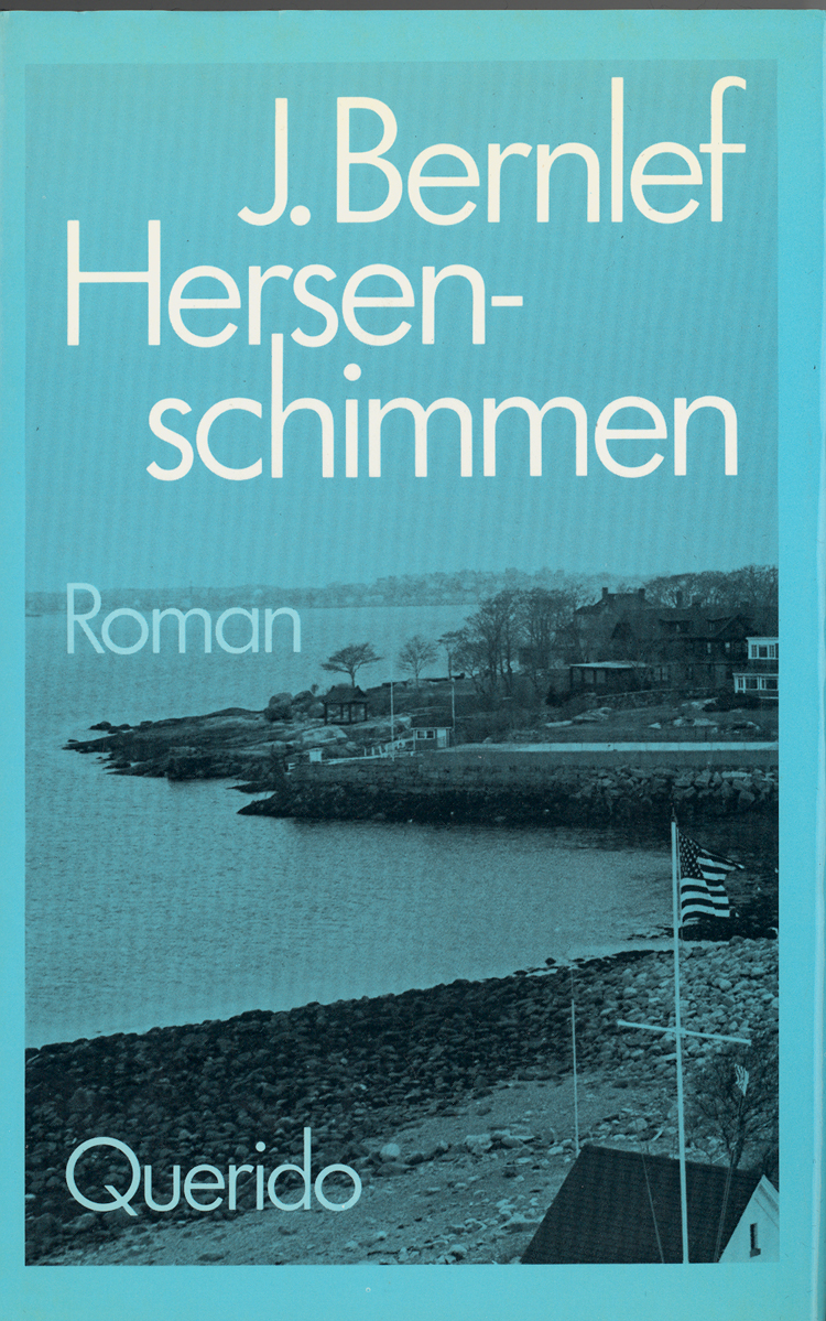 Boekcover Hersenschimmen