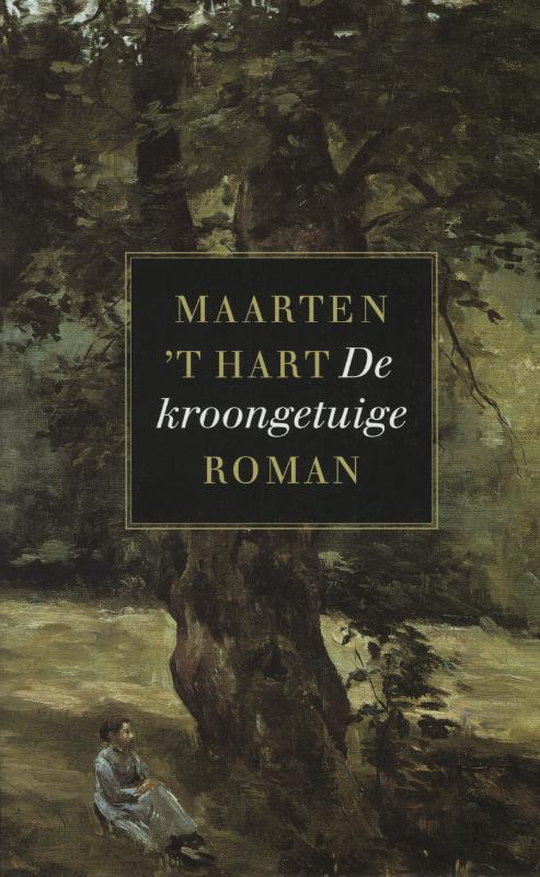 Boekcover De kroongetuige